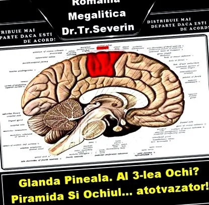 életkortól