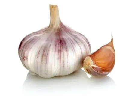 borjú