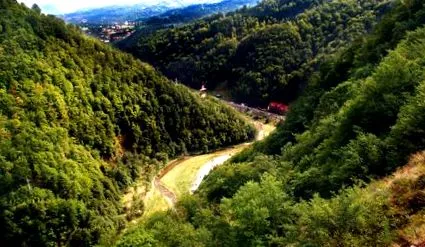 pohoria