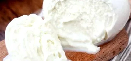 mozzarella tanítja