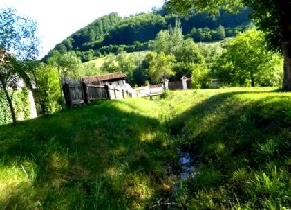 зиланулуи