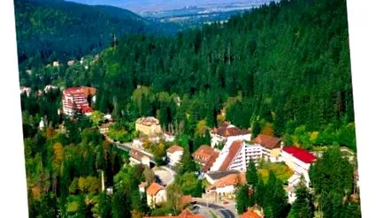 baile ajánlat