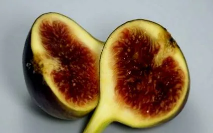 ebucataria