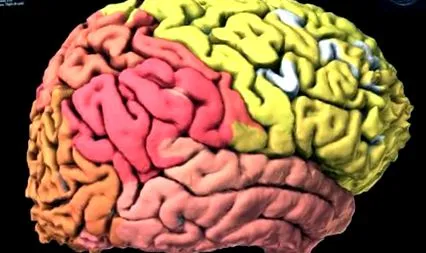 атлас