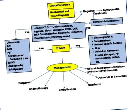 neuroendokrin daganatok