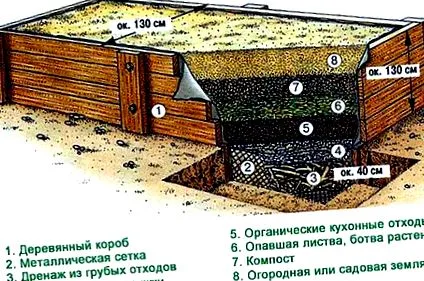 meleg ágyak melegágyak