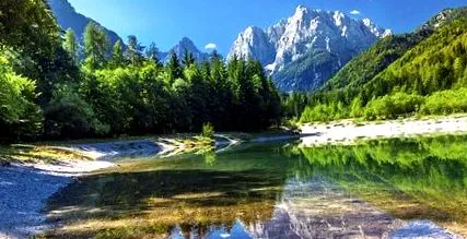діаліз спеціальні