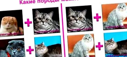 грижата