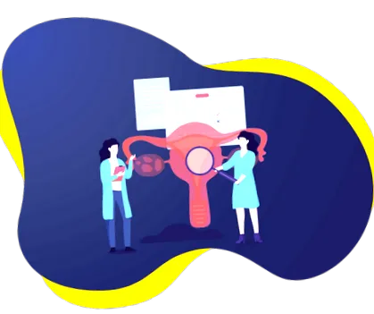 акушерство