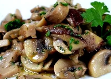 funghi gomba