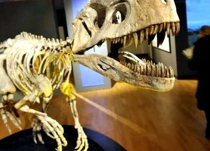 evolúciójukról millió évvel
