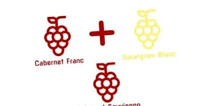 запитань совіньйон