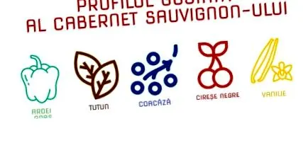 запитань Каберне Совіньйон