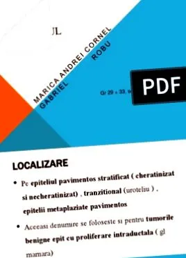 papilloma papilloma
