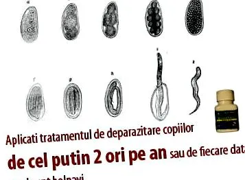 egészségünk