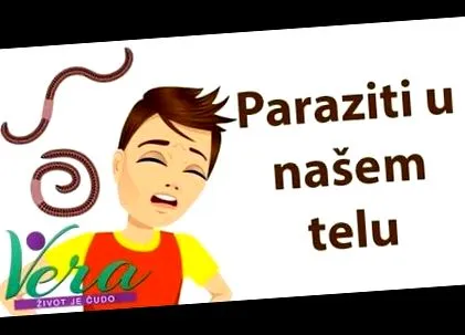 orrorganizmusban orrorganizmusban