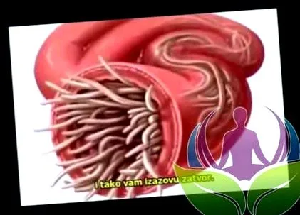 telu ciscenje
