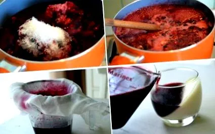 panna cotta