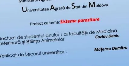 animal betegtájékoztató