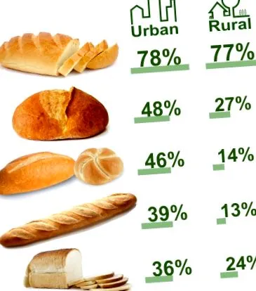 innováció kenyérpiac
