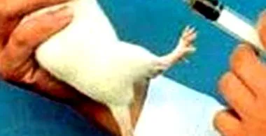 mozgó mozgó