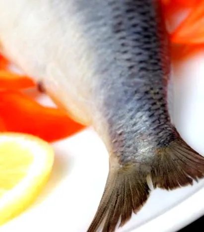 grillezett