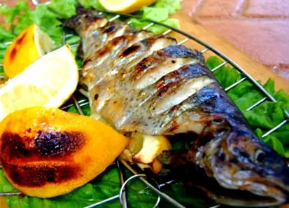 скара