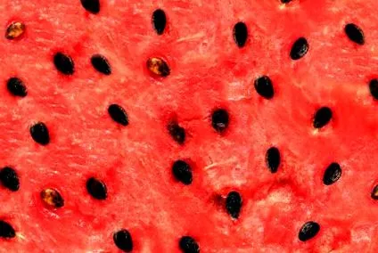 jelenti hogy amely támogatja