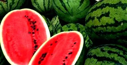 melon