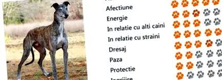 Várható átlagos
