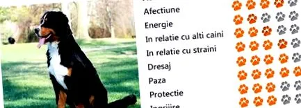 Várható átlagos