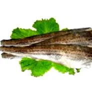 kalóriatartalom