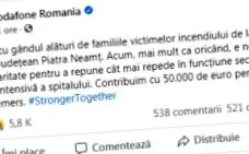 торти дивіться