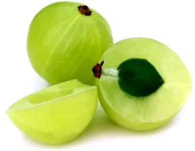 секој