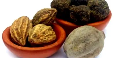 ајурведски