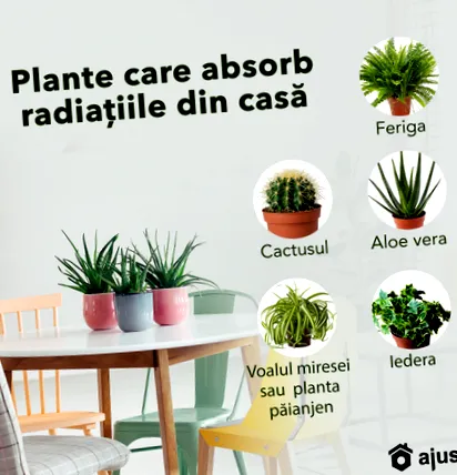 sugárzását