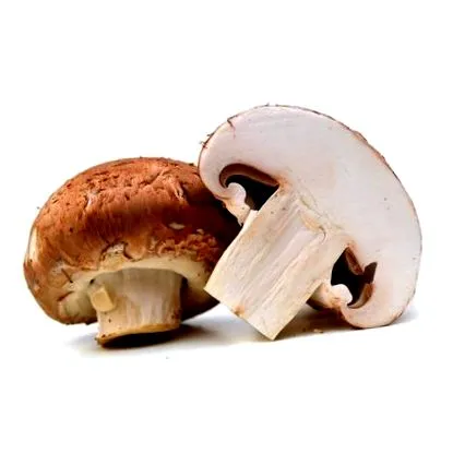 spenóttal