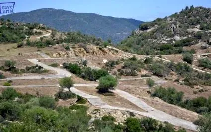 strandjai