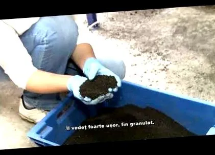 giardia előkészítése