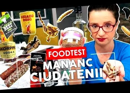 előkészítése