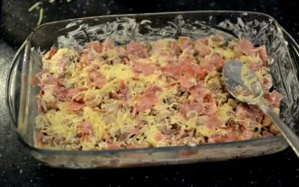 ketogén