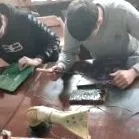 домаќинства