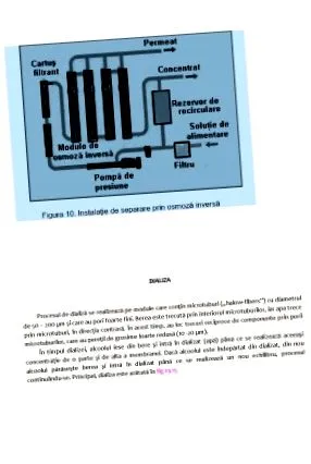 Alacsony alkoholtartalmú
