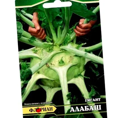 seeds