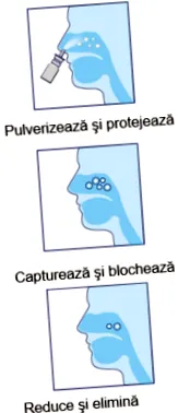 protect quixx