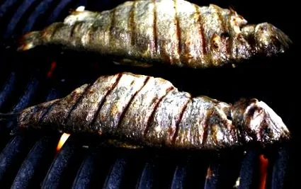 grillezett tudnod