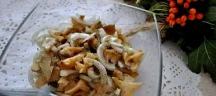vlastnosti