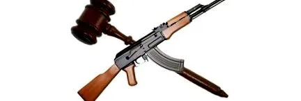дисциплински