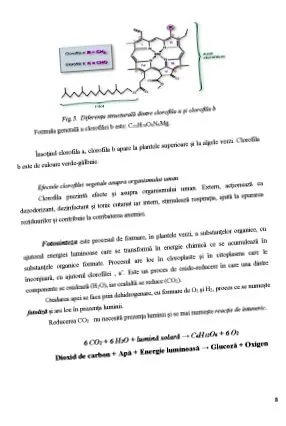 jellemzési