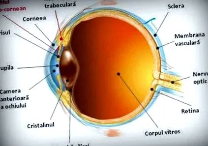зору